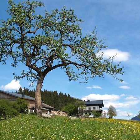 Unterhofgut Villa Goldegg Kültér fotó