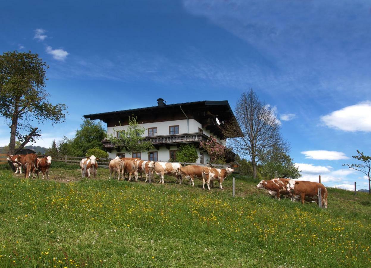 Unterhofgut Villa Goldegg Kültér fotó